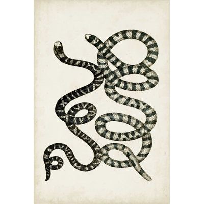 Serpents antiques VI