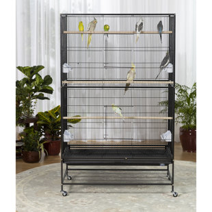 Economy Victorian Large Parrot Bird Cage 63 