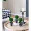 Topiaire buis en pot-22214119