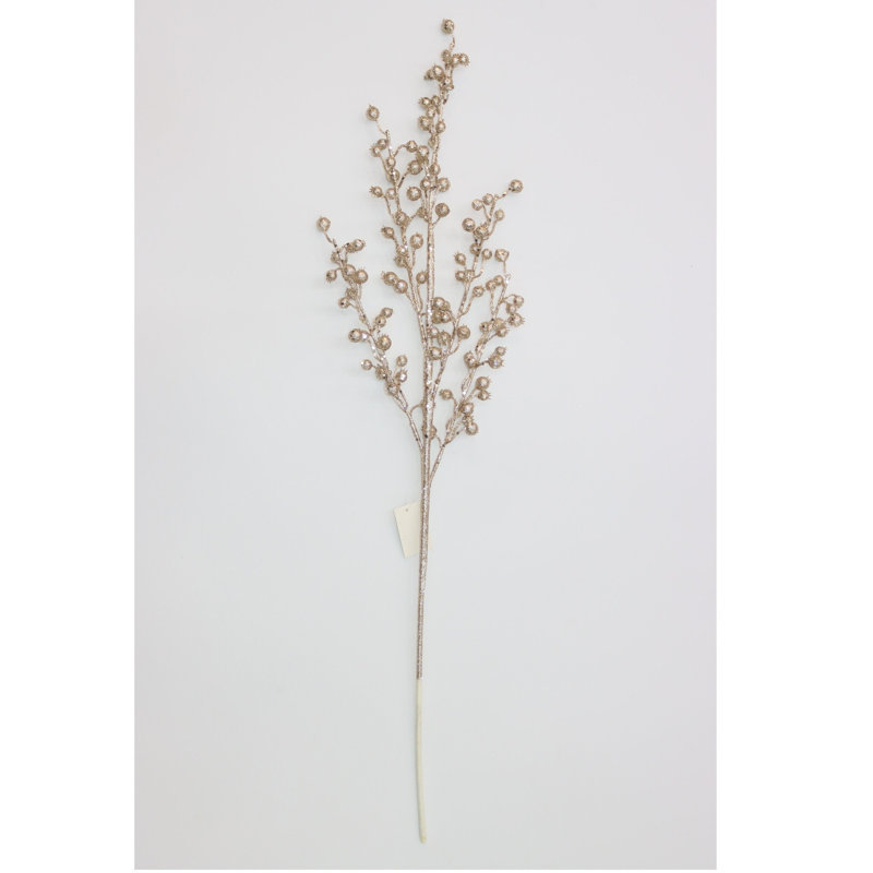 Champagne avec paillettes et baies, Doré