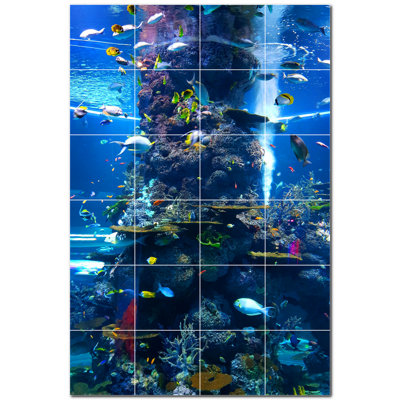 Corail photo 8 x 8