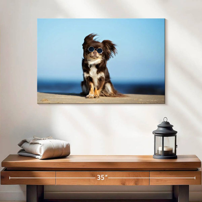 Chihuahua Brampt, H 16 po x l 24 po