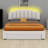 Upholstered Wooden Bedframe With LED Lights , USB Ports And Drawer-1925438472