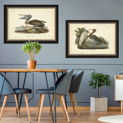 «Audubon's Brown Pelican», reproduction d'art encadrée