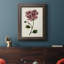 Mauve Botanicals III - reproduction d'art sur toile-1142821148