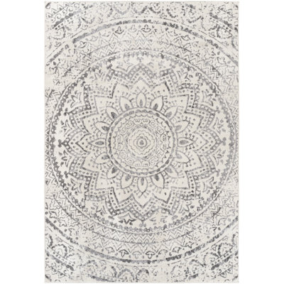 Janicki Oriental Indoor Rug