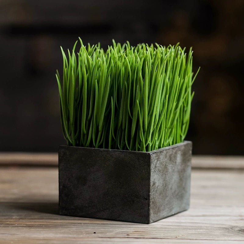 Faux herbes, H 6,69 po x l 3,9 po x P 3,9 po