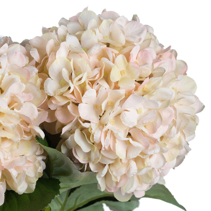 Hydrangea Arrangement