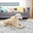 Machine Washable Area Rugs For Living Room Non-Slip Backing Foldable Boho Floral Carpet Rugs-1179462370