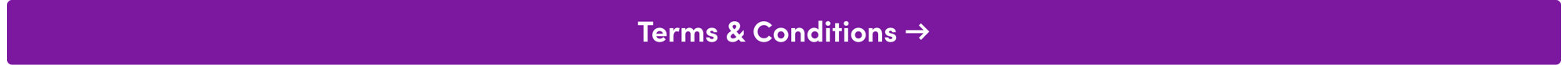 terms & conditions 