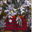 Bicknell Plastic Tree Skirt