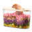 Elliptical Hamster Digging Box, Small Animal Burrowing Pit with Transparent PET+PP Design, Space-Saving Digging Container for Syrian Dwarf Hamsters