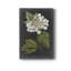 Fleurs blanches dramatiques III - impression-501027879