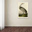 « whooping craneplate 261 », reproduction sur toile tendue-610669114