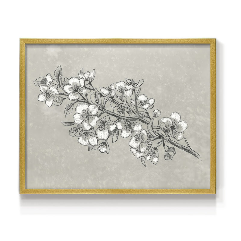 Petal Contrast I -Framed Print - Restickable, 11" H x 14" W