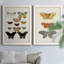 «Vintage Butterflies III», ensemble de 2 reproductions d'art sur toile encadrées-901275276-901275275