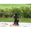  Gnomes in Trouble with Bear Garden Statue