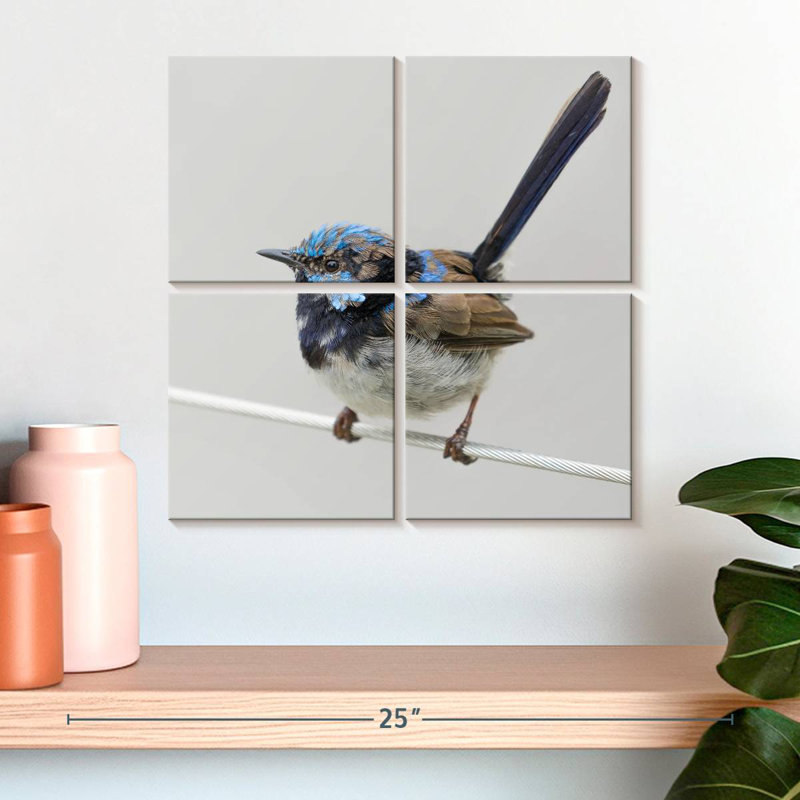 Brampt Bluebird Close Up, 18" H x 18" W