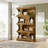 Practical Display Shelves,Bookshelf,S-Shaped Storage Bookcase