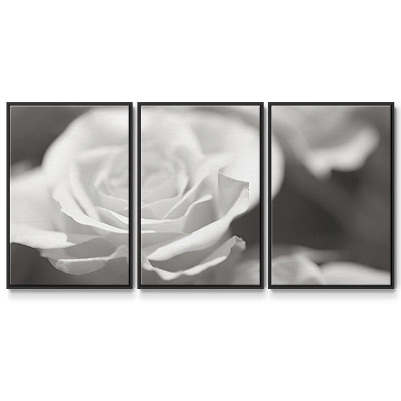 Roseudes IV - Toile encadrée multi-pièces, Noir, H 36 po x l 75 po x P 2 po