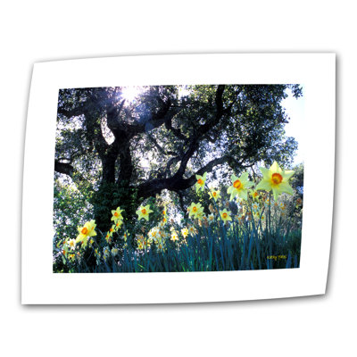 «Daffodils and The Oak», reproduction de photo sur toile