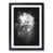 Black Framed selected