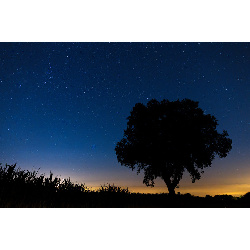Starry Night Landscape - Wrapped Canvas Print, 30cm H x 46cm W x 3.8cm D