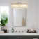 24'' Dimmable LED Wall Mounted Picture Light
