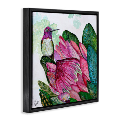 Colibri et cadre flottant Protea, design par Lisa Morales