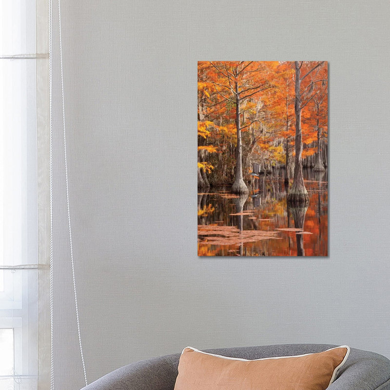USA, George Smith State Park, Georgia. Fall Cypress Trees With Wood Duck Box. by Joanne Wells - Wrapped Canvas Print