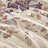 Taupe King Floral Comforter With Bed Sheets - Soft Microfiber, In A Bag Comforter, Sheets, Pillowcases 100%