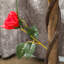 Outsunny Artificial Rose Tree with Twisted Trunk Set of 2-903063450