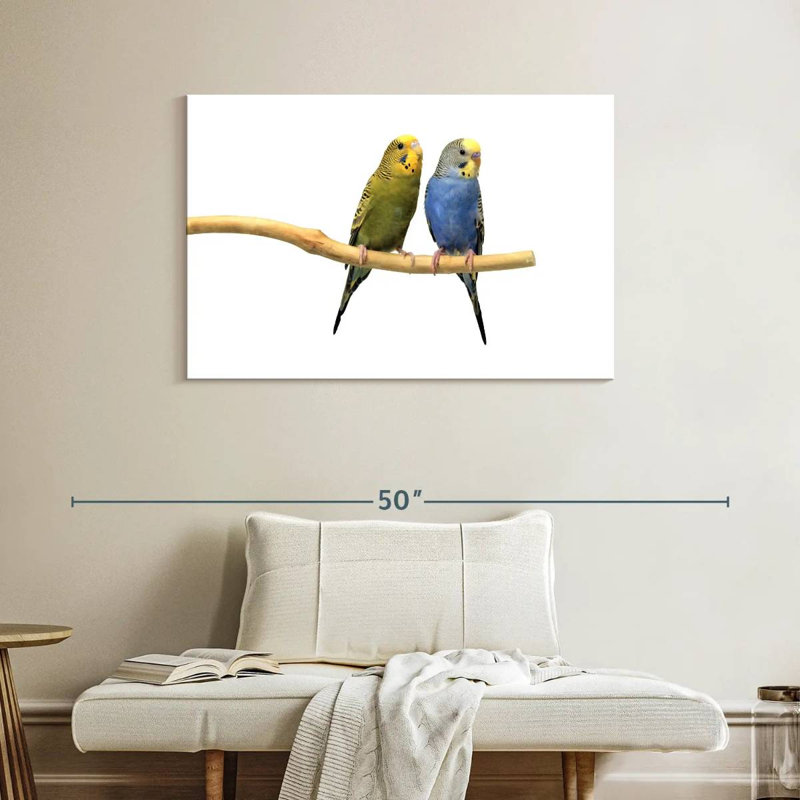 Parakeets, 26" H x 39" W