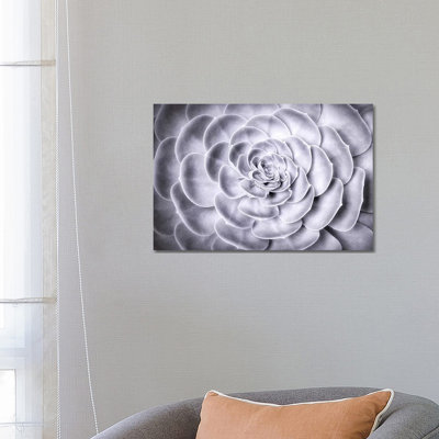 Succulent 1 Piece Wrapped Canvas Wall Art