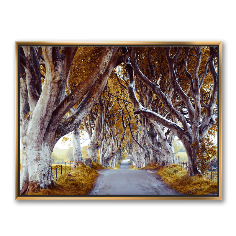 Majestic Tree Alley - reproduction de photo sur toile, H 36 po x l 46 po x P 1,5 po, Toile avec cadre doré
