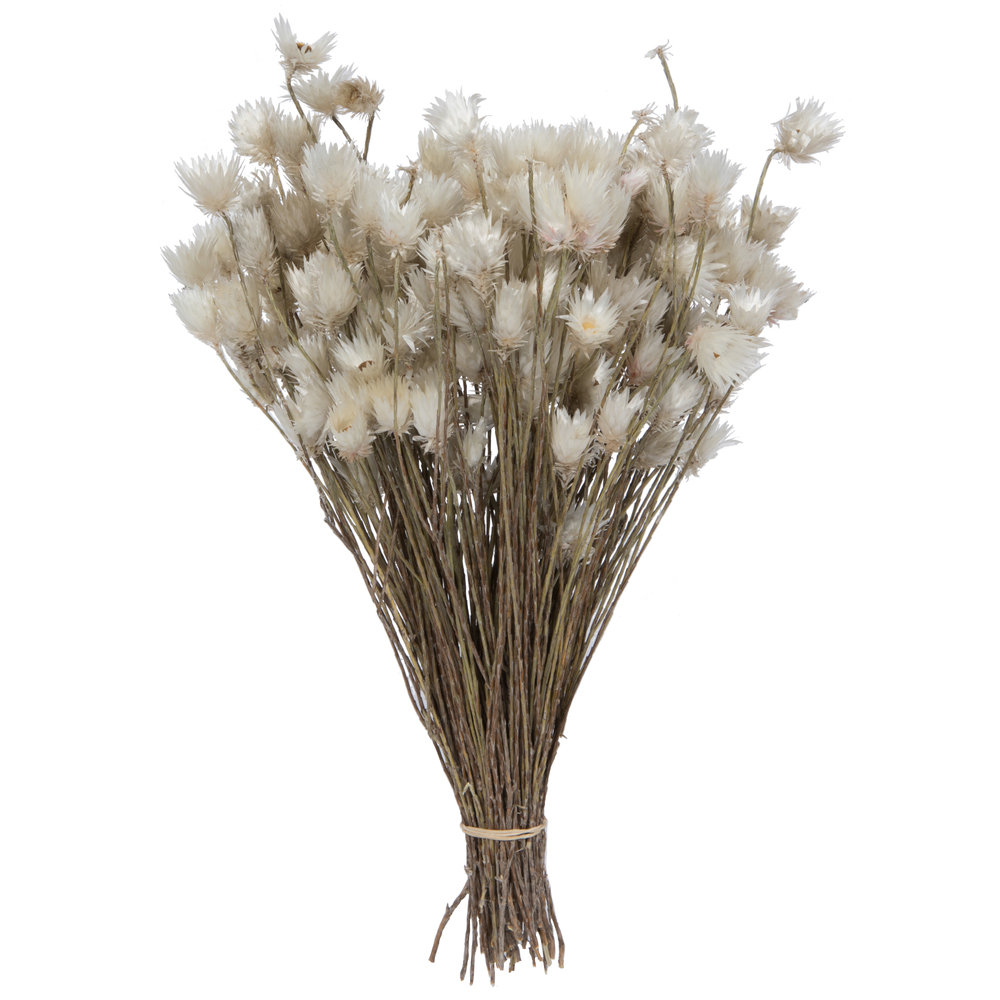 Mixed Assortment Floral Arrangement