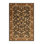 Machine Washable Botanical Brown Area Rug