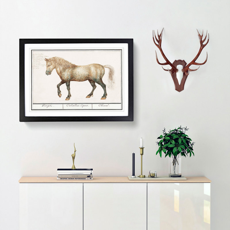 A Horse by A.B. de Boodt - Picture Frame Painting Print, 48cm H x 65cm W x 2cm D, Black Framed