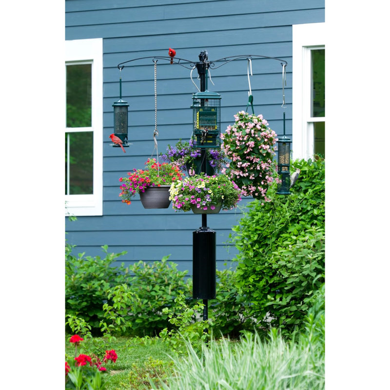 Brome Raccoon Buster Guardian Pole for Bird Feeders, 8ft, Black