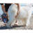 Outdoor Cotton Blend Pet Blanket-79779914