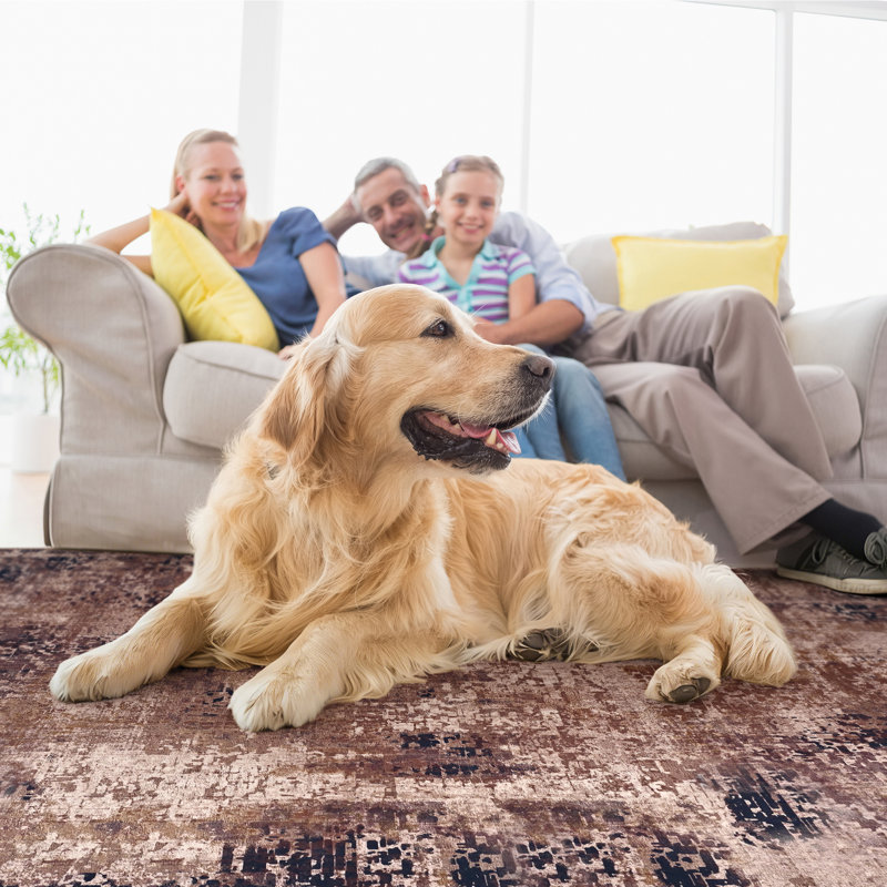 Abstract Shag Area Rug, Rectangle 200 x 300 cm, Brown