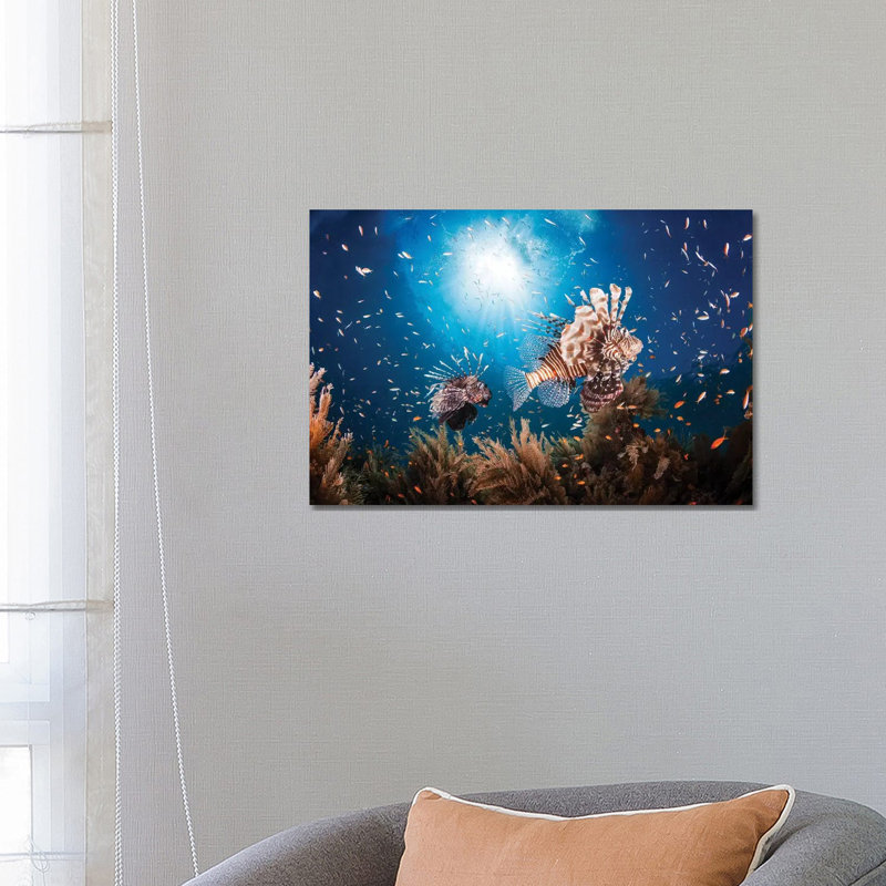 Lionfish by Barathieu Gabriel - Print on Canvas, 45.72cm H x 66.04cm W x 3.81cm D, Wrapped Canvas