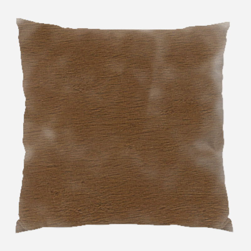 Coussin décoratif transparent, Intérieur