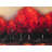 Red Dark Trees Framed Canvas | Stunning Home Decor Art