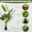 160 cm H Faux Bird of Paradise Plant in Cement Freestanding  Planter
