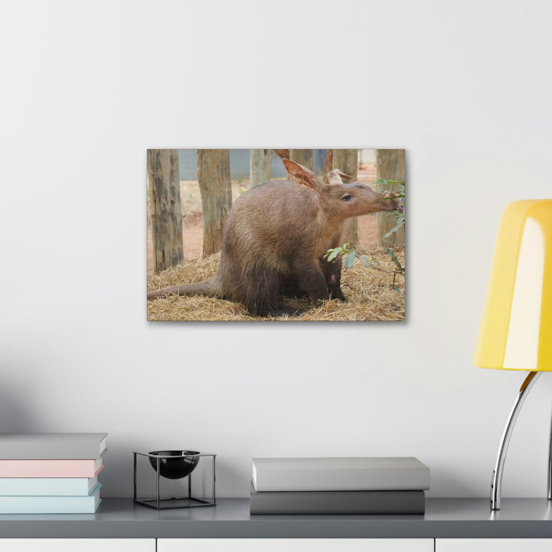 No Frame Print on Canvas