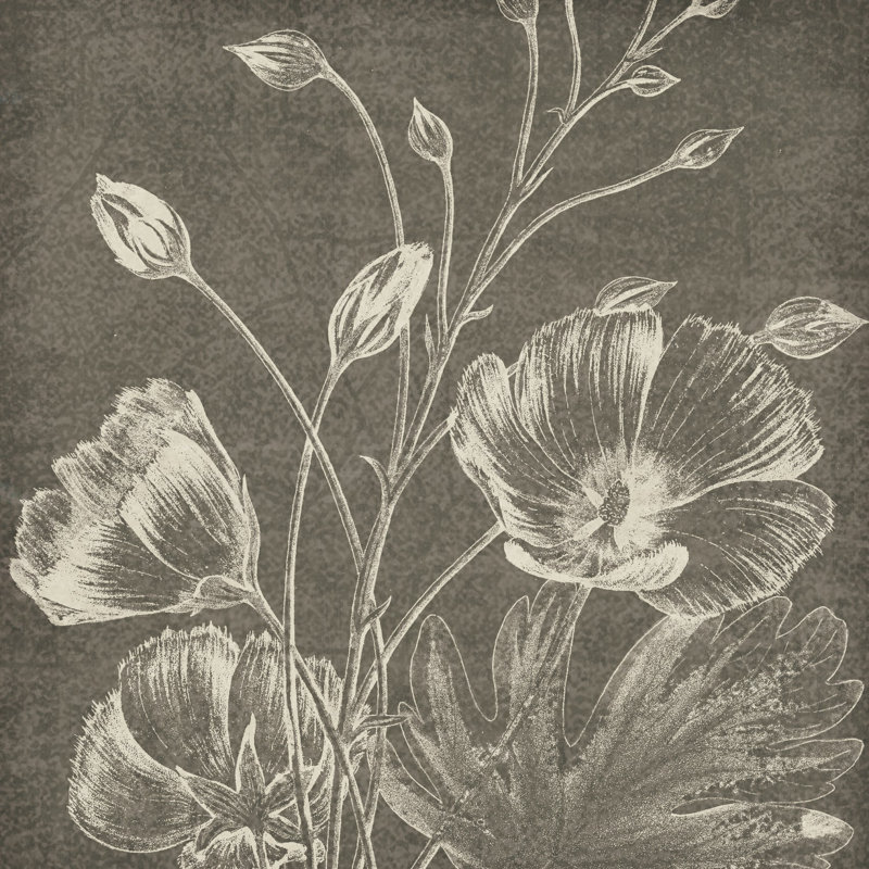 Beauté botanique, craie, carré, H 30 po x l 30 po