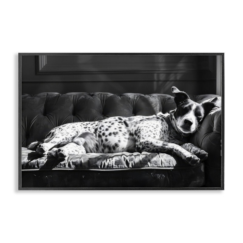 «Lounging Dog In Sun», estampe numérique, design par Lsr Creative Studio, H 12 po x l 18 po, Giclée encadrée noir minuit