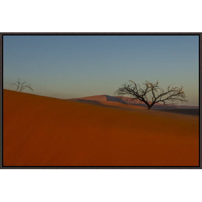 «Désert du matin de la Namibie III» par Richard Silver - peinture sur toile à cadre flottant
