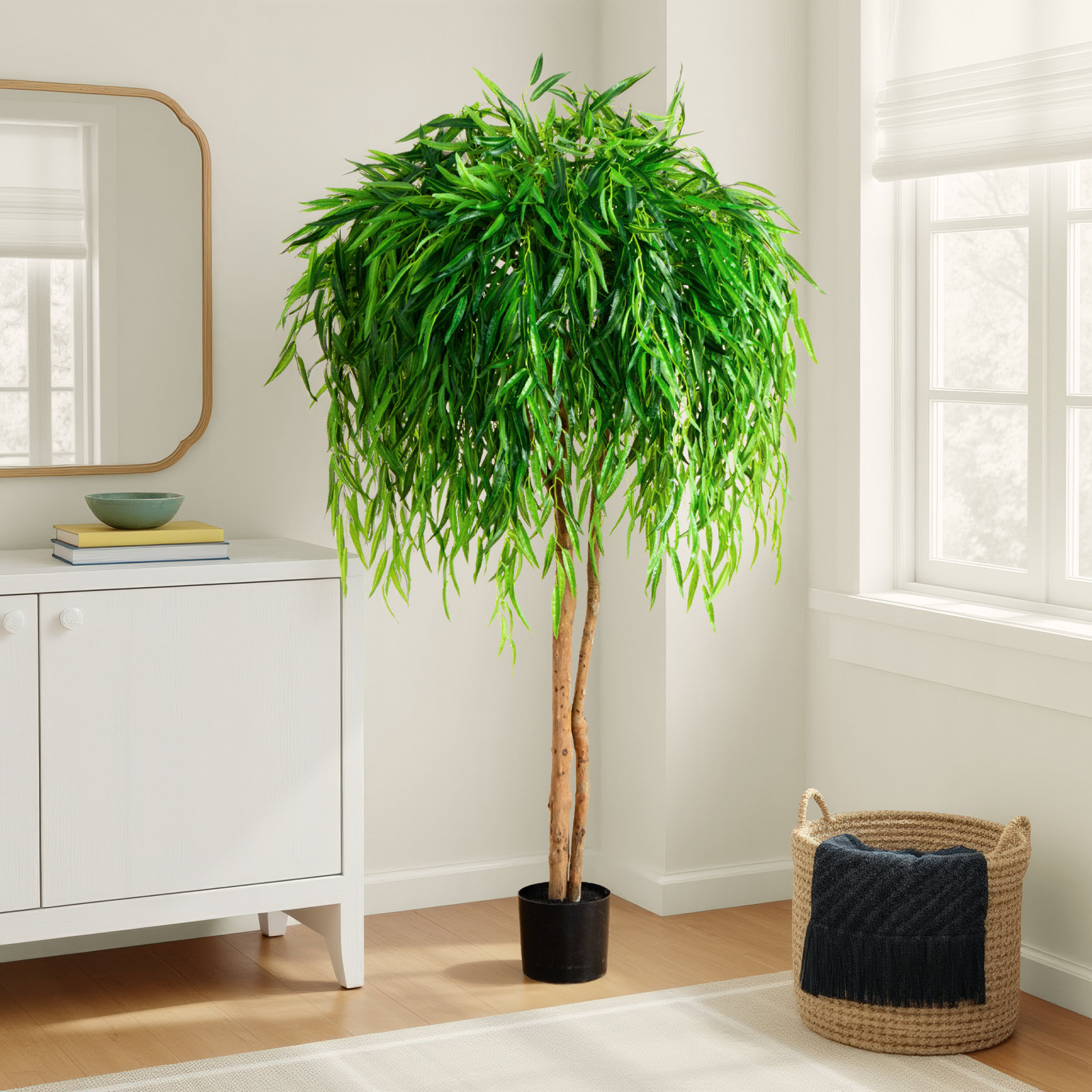 Willow Tree in Nursery Pot, 60" H x 36" W x 36" D